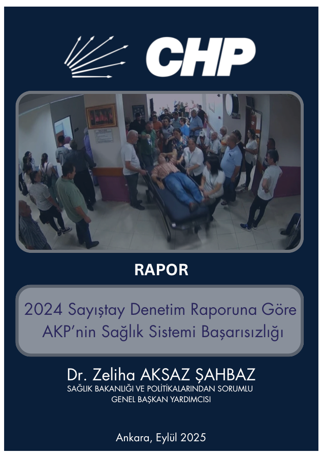 2024 Sayıştay Denetim Raporuna Göre AKP'nin Sağlık Sistemi Başarısızlığı PDF ilk sayfa önizlemesi