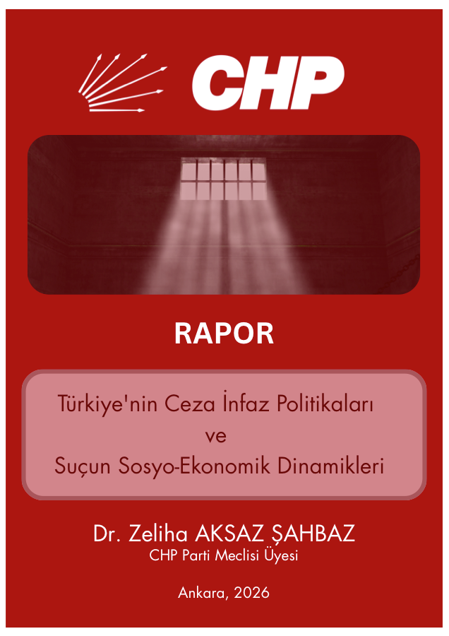 Türkiye'nin Ceza İnfaz Politikaları ve Suçun Sosyo-Ekonomik Dinamikleri PDF ilk sayfa önizlemesi